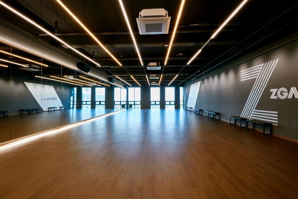 专业舞蹈练习室